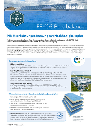 Flyer "EFYOS Blue Balance"