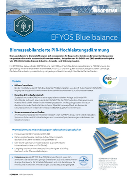 Flyer "EFYOS Blue Balance"